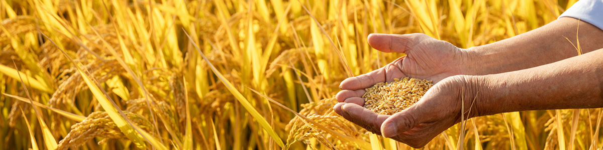 供應.jpg 供應.jpg